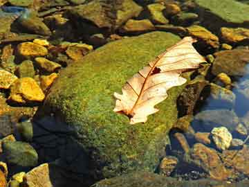 香港開(kāi)獎(jiǎng)結(jié)果2025開(kāi)獎(jiǎng)記錄,滴滴上線海外聚合出行服務(wù)實(shí)地驗(yàn)證數(shù)據(jù)計(jì)劃_Kindle91.39.13