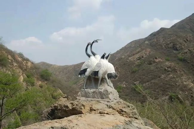 山東鶴伴山景區(qū)遭野猴襲擾