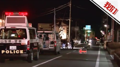 日本司機回應(yīng)兩中國游客遭列車撞擊