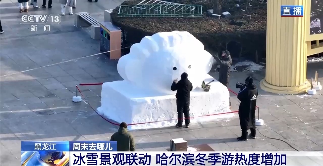 哈爾濱抓獲23名冰雪大世界黃牛