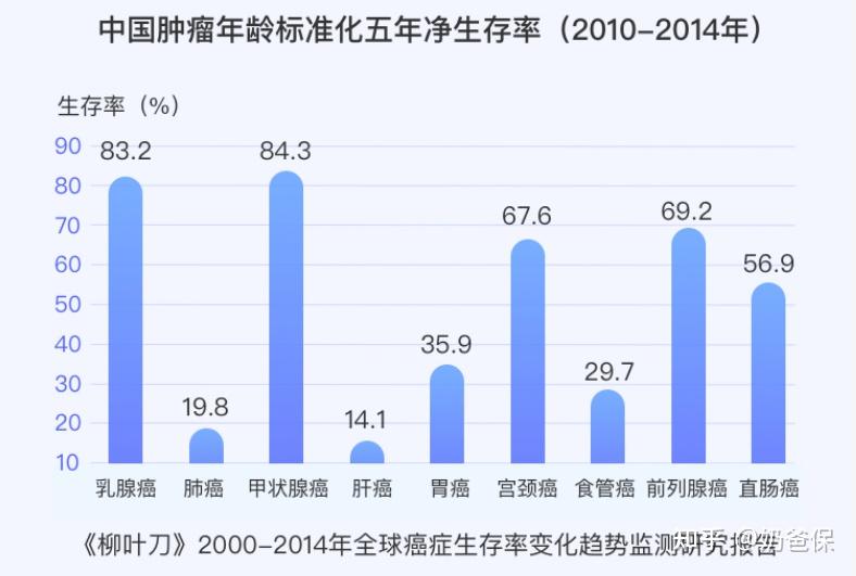 2025新奧精準(zhǔn)資料免費(fèi)大全078期,專業(yè)分析說明_靜態(tài)版44.62.99