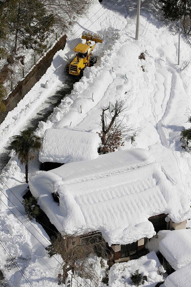 四肖選一肖免費(fèi)公開(kāi)資料,日本北海道大雪 超過(guò)40個(gè)航班被取消