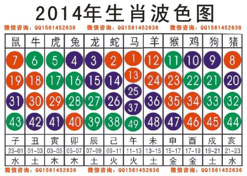 十二生肖49碼表,6歲男童上學時獨自離園2次未被發(fā)現(xiàn)