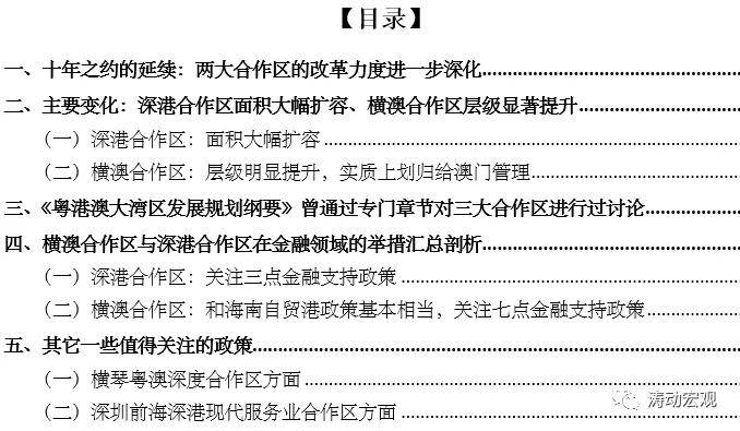 新澳2025正版資料大全與精細化策略定義的探討，實踐分析解釋定義_4DM66.32.35